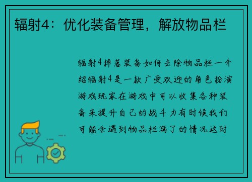 辐射4：优化装备管理，解放物品栏